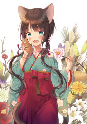 Rule 34 | 1girl, :d, animal, animal ears, aqua eyes, aqua kimono, bamboo, cat ears, cat girl, cat tail, commentary, cowboy shot, fang, floral background, flower, hair ribbon, hakama, hakama skirt, holding, holding animal, holding flower, japanese clothes, kimono, long sleeves, looking at viewer, midorikawa you, mouse (animal), open mouth, original, pink flower, red hakama, red ribbon, revision, ribbon, shirt, skin fang, skirt, smile, solo, tail, tassel, twintails, white background, white flower, wide sleeves, yellow shirt