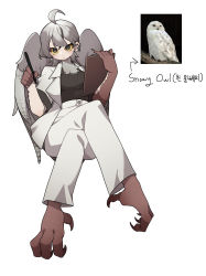 Rule 34 | 1girl, absurdres, ahoge, animal hands, bird, bird legs, black eyes, black shirt, clipboard, colored sclera, earclip, feathered wings, formal, gomulgong, grey feathers, grey hair, grey wings, harpy, highres, holding, holding clipboard, holding pen, jacket, long hair, monster girl, neck ruff, open clothes, open jacket, original, owl, owl girl, pant suit, pants, pen, shirt, solo, suit, talons, white jacket, white pants, wings, yellow sclera