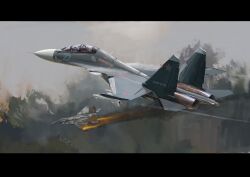 Rule 34 | absurdres, aerial battle, aircraft, airplane, battle, fighter jet, fire, highres, jet, military vehicle, mirroraptor, missile, no humans, original, red star, russia, russian commentary, russo-ukrainian war, sky, star (symbol), su-30, translation request, ukraine
