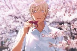 Rule 34 | 1boy, amuro tooru, blonde hair, blouse, blue eyes, blurry, blurry background, bow, cherry blossoms, collarbone, collared shirt, commentary request, day, dress shirt, falling petals, flower, hair between eyes, hand up, holding, holding bow (ornament), k (gear labo), looking at viewer, male focus, meitantei conan, open mouth, petals, pink flower, red bow, shirt, short hair, smile, solo, spring (season), tree, white shirt