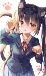 Rule 34 | 1girl, absurdres, animal ears, black hair, blue jacket, blue skirt, blush, brown eyes, claw pose, collared shirt, commentary, fang, highres, jacket, k-on!, long hair, long sleeves, looking to the side, nakano azusa, paw pose, paw print, red ribbon, ribbon, shirt, sidelocks, skirt, solo, starlime, twintails, white background, white shirt