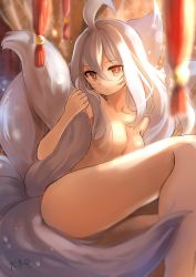 Rule 34 | 1girl, ahoge, animal ears, ara haan, ara haan (celestial fox), blurry, blurry background, blurry foreground, breasts, closed mouth, commentary, elsword, facial mark, fox ears, fox tail, hair between eyes, head tilt, long hair, looking at viewer, medium breasts, multiple tails, no nipples, nude, red eyes, revision, sitting, slit pupils, solo, tail, toyo (s9654431), white hair
