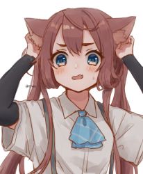 Rule 34 | 1girl, animal ears, arm warmers, asagumo (kancolle), ascot, blue eyes, blush, brown hair, cat ears, fang, hair between eyes, kantai collection, long hair, looking at viewer, nuno (pppompon), open mouth, parted lips, shirt, short sleeves, sidelocks, simple background, skin fang, solo, suspenders, sweat, twintails, twitter username, upper body, very long hair, white background, white shirt