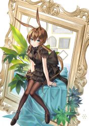 Rule 34 | 1girl, ambience synesthesia, amiya (arknights), animal ears, arknights, black dress, black footwear, black ribbon, blue eyes, breasts, brown hair, brown pantyhose, commentary, dress, full body, hair between eyes, highres, jewelry, kernel killer, loafers, long hair, looking at viewer, medium breasts, multiple rings, official alternate costume, pantyhose, picture frame, plant, rabbit ears, ribbon, ring, shoes, sitting, solo, table, very long hair