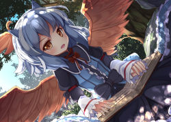 Rule 34 | 1girl, bird wings, black bow, blue hair, book, bow, brown eyes, forest, head wings, horns, long sleeves, looking at viewer, multicolored hair, namatyaba, nature, red bow, short hair, single head wing, solo, tokiko (touhou), touhou, tree, two-tone hair, white hair, wings