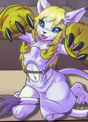 Rule 34 | animal ears, cat, cat ears, digimon, digimon (creature), furry, furry female, gloves, holy ring, tail, tailmon