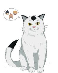 Rule 34 | animal, animal focus, cat, chainsaw man, denji (chainsaw man), facing viewer, full body, hayakawa aki, highres, laillnii, looking at viewer, meowy (chainsaw man), pet, power (chainsaw man), sitting, speech bubble, whiskers, white background, white cat, yellow eyes