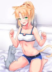 Rule 34 | 1girl, animal, animal ears, animal hands, bare arms, bare shoulders, barefoot, bed, bed sheet, blonde hair, blue shorts, blush, breasts, cat, cat ears, cat paws, cat tail, collarbone, commentary request, fang, fate/grand order, fate (series), green eyes, highres, indoors, kneeling, leeshin0919, mordred (fate), mordred (fate/apocrypha), mordred (memories at trifas) (fate), navel, on bed, pillow, ponytail, red scrunchie, scrunchie, short shorts, shorts, small breasts, solo, tail