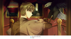 Rule 34 | 1boy, bird, blurry, blurry background, brown capelet, brown eyes, brown gloves, brown hair, brown jacket, capelet, character name, feathers, gloves, indoors, jacket, long sleeves, looking at viewer, magic kaito, male focus, monicanc, profile, saguru hakuba, solo