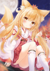 Rule 34 | 1girl, animal ear fluff, animal ears, autumn leaves, bad id, bad pixiv id, blonde hair, blurry, blurry background, blush, braid, brown eyes, closed mouth, commentary request, depth of field, feet out of frame, fox ears, fox girl, fox tail, full moon, hair between eyes, hand up, holding, holding leaf, japanese clothes, kata rosu, kimono, kneehighs, knees up, leaf, leaf on head, long hair, long sleeves, looking at viewer, maple leaf, moon, night, night sky, obi, original, outdoors, pleated skirt, red skirt, sash, single braid, sitting, skirt, sky, sleeves past wrists, socks, solo, tail, tail raised, very long hair, white kimono, white socks, wide sleeves