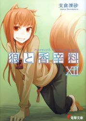 Rule 34 | 00s, 1girl, absurdres, animal ears, ayakura juu, barefoot, cover, cover page, grin, highres, holo, novel cover, official art, scan, smile, solo, spice and wolf, tail, wolf ears, wolf tail