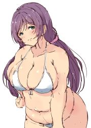 Rule 34 | 1girl, belly, bikini, blush, breasts, cleavage, green eyes, highres, large breasts, long hair, looking at viewer, love live!, love live! school idol project, plump, purple hair, shinonon (iso shino), smile, solo, swimsuit, tojo nozomi, twintails, wide hips