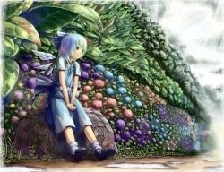 Rule 34 | 1girl, aratama, bad id, bad pixiv id, blue eyes, blue hair, bow, cirno, flower, frog, gradient hair, green hair, hair bow, hydrangea, matching hair/eyes, multicolored hair, puddle, rainbow, rock, sitting, sitting on object, solo, touhou, v arms, wings