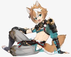 Rule 34 | 1boy, animal ears, armor, bandages, blue eyes, brown hair, choco c14, dog boy, dog ears, dog tail, fang, genshin impact, gorou (genshin impact), grey background, hair ornament, japanese armor, japanese clothes, looking at viewer, male focus, multicolored hair, open mouth, paw print, simple background, sitting, solo, tail, tassel, white hair
