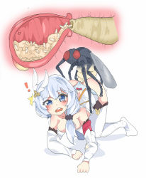Rule 34 | !, absurdres, bestiality, blush, bug, clothed sex, cross-section, cum, cum in pussy, domaniax, egg, egg implantation, egg laying, fly, highres, honkai (series), honkai impact 3rd, insect, object insertion, open mouth, ovipositor, sex, teeth, theresa apocalypse, trembling, underwear, uterus, vaginal, vaginal object insertion, x-ray