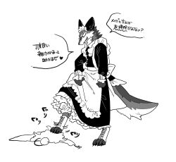 Rule 34 | 1boy, 1girl, animal ears, animal feet, apron, body fur, claws, clothes lift, dress, full body, highres, long hair, long sleeves, looking at another, lying, maid, maid apron, maid headdress, on stomach, open mouth, original, rata (norahasu), sharp teeth, simple background, skirt, skirt lift, speech bubble, standing, stepped on, tail, teeth, translation request, white background, wolf boy, wolf ears, wolf tail