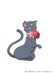 Rule 34 | aria (manga), ascot, black cat, blue eyes, cat, copyright name, copyright notice, flower, highres, hime granzchesta, looking to the side, no humans, official art, open mouth, pink flower, red ascot, red flower, simple background, sitting, white background