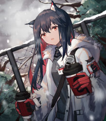 Rule 34 | 1girl, animal ears, arknights, belt, black hair, black sweater, bracelet, breasts, coffee cup, cup, disposable cup, from side, fur-trimmed hood, fur-trimmed jacket, fur-trimmed sleeves, fur trim, gloves, hair between eyes, high collar, holding, holding cup, hood, id card, jacket, jewelry, long hair, long sleeves, looking at viewer, looking to the side, necklace, official alternate costume, open clothes, open jacket, parted lips, red eyes, red gloves, sidelocks, small breasts, snow, solo, standing, sweater, texas (arknights), texas (winter messenger) (arknights), upper body, white jacket, wide sleeves, wolf ears, zhong chai