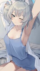 Rule 34 | 1girl, ;|, absurdres, animal ears, armpits, arms up, blue archive, blue camisole, blue shorts, breasts, camisole, collarbone, commentary, grey hair, halo, highres, indoors, medium breasts, shiroko (blue archive), shirt, shorts, solo, stretching, wakamepiza, waking up, white shirt, wolf ears