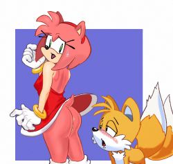 Rule 34 | 1boy, 1girl, amy rose, anus, ass, blush, colored skin, dress, fox, fur, furry, furry female, furry male, furry with furry, gloves, green eyes, hedgehog girl, hedgehog tail, no panties, pink hair, pink skin, sega, self-upload, skirt, sonic (series), stackincamps, sweatdrop, tagme, tail, tails (sonic), thick thighs, thighs