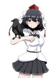Rule 34 | 1girl, animal on arm, belt, bird, bird on arm, black belt, black bow, black bowtie, black hair, black skirt, bow, bowtie, breasts, closed mouth, collared shirt, commentary request, cowboy shot, crow, female focus, happy, hat, highres, looking at viewer, medium breasts, miniskirt, miton iguana, pleated skirt, pom pom (clothes), puffy short sleeves, puffy sleeves, red eyes, red headwear, shameimaru aya, shirt, short hair, short sleeves, simple background, skirt, smile, tassel, tokin hat, touhou, white background, white shirt