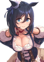 Rule 34 | 1girl, absurdres, animal ears, arms behind back, blue eyes, blue hair, bodice, breasts, choker, cleavage, closed mouth, collarbone, commentary request, detached sleeves, dress, eishin flash (umamusume), highres, horse ears, hukahito, large breasts, looking at viewer, medium hair, smile, solo, umamusume, upper body