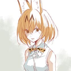 Rule 34 | 10s, 1girl, animal ears, armpit peek, bare shoulders, blush, bow, bowtie, brown eyes, cat ears, commentary request, eyelashes, grey background, hair between eyes, hatching (texture), inumoto, kemono friends, looking at viewer, nose blush, nostrils, open mouth, orange hair, parted lips, sanpaku, serval (kemono friends), shirt, short hair, simple background, sketch, sleeveless, sleeveless shirt, solo, tsurime, two-tone background, upper body, white background, white shirt