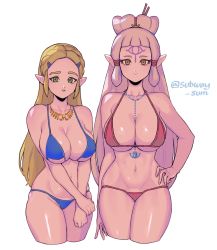 Rule 34 | 2girls, bare shoulders, bikini, blonde hair, blue bikini, braid, breasts, brown eyes, cleavage, collarbone, cropped legs, forehead tattoo, green eyes, hair bun, hair ornament, hairclip, hand on own hip, highres, hyrule warriors: age of calamity, impa, jewelry, large breasts, looking at viewer, multiple girls, navel, necklace, nintendo, pointy ears, princess zelda, red bikini, silver hair, simple background, single hair bun, smile, subway sum, swimsuit, the legend of zelda, the legend of zelda: breath of the wild, toned, white background
