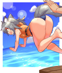 Rule 34 | 1girl, animal ears, ass, bare shoulders, blush, breasts, fang, from behind, green eyes, grey hair, life vest, looking down, medium breasts, one-piece swimsuit, open mouth, original, shiny clothes, shiny skin, sideboob, solo, surfboard, swimsuit, tail, wolf ears, wolf tail