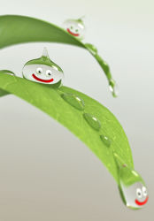 Rule 34 | 3d, dew drop, dragon quest, dripping, leaf, monster, no humans, obada, simple background, slime (dragon quest), water drop