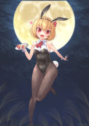 Rule 34 | 1girl, absurdres, animal ears, apple, apple rabbit, apple slice, ascot, black leotard, black pantyhose, blonde hair, cloud, commentary request, fishnet pantyhose, fishnets, food, food art, fruit, full body, harunoha, highres, leotard, looking at viewer, night, pantyhose, plate, playboy bunny, rabbit ears, rabbit tail, red ascot, red eyes, rumia, short hair, solo, tail, touhou, wrist cuffs