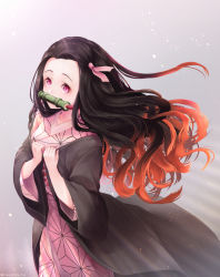 Rule 34 | 1girl, asa no ha (pattern), bad id, bad pixiv id, bit gag, black hair, commentary, cowboy shot, english commentary, gag, gradient hair, grey background, hair blowing, hair ribbon, hands on own chest, haori, japanese clothes, kamado nezuko, kimetsu no yaiba, kimono, korean commentary, light particles, long hair, looking at viewer, mixed-language commentary, multicolored hair, pink eyes, pink kimono, pistachiocream, red hair, ribbon, solo, standing, twitter username, very long hair