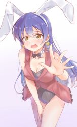 Rule 34 | 1girl, animal ears, bad id, bad twitter id, blue hair, blush, bow, bowtie, commentary request, covering privates, cowboy shot, detached collar, earrings, embarrassed, fake animal ears, hair between eyes, heart, heart earrings, highres, jewelry, korekara no someday, legs together, leotard, long hair, looking at viewer, love live!, love live! school idol project, omoi seiji, open mouth, playboy bunny, rabbit ears, simple background, solo, sonoda umi, standing, wavy mouth, white background, yellow eyes