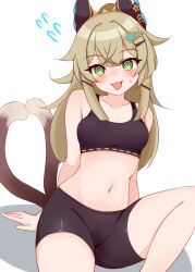 Rule 34 | 1girl, :3, :d, @ @, animal ears, ayatori (aytr), bare arms, bare shoulders, black shorts, blush, brown hair, cat ears, cat tail, collarbone, commentary request, crop top, fang, genshin impact, green eyes, highres, kirara (genshin impact), long hair, looking at viewer, midriff, multiple tails, navel, open mouth, short shorts, shorts, simple background, sitting, smile, solo, sports bra, stomach, tail, two tails, white background