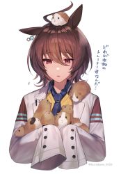 Rule 34 | 1girl, agnes tachyon (umamusume), ahoge, animal, animal ears, animal on head, animal on shoulder, blue necktie, brown hair, collared shirt, commentary request, cropped torso, guinea pig, hair between eyes, highres, holding, holding animal, horse ears, horse girl, lab coat, long sleeves, looking at animal, medium hair, necktie, on head, parted lips, red eyes, shirt, simple background, sleeves past fingers, sleeves past wrists, solo, sweater, translation request, tsunakawa, twitter username, umamusume, underwear, white background, yellow sweater