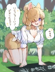 Rule 34 | 1girl, :d, adapted costume, all fours, alpaca ears, alpaca girl, alpaca suri (kemono friends), animal ears, bare arms, bare legs, barefoot, blonde hair, blue eyes, blush, breasts, cleavage, collarbone, collared shirt, full body, fur trim, hair bun, hair over one eye, hair tubes, highres, kemono friends, medium breasts, noamem, open mouth, shirt, short sleeves, shorts, single hair bun, smile, solo, survival friends, teeth, tied shirt, translation request, upper teeth only, white shirt