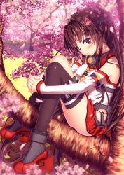 Rule 34 | 10s, 1girl, anchor, ankle boots, black socks, blush, boots, brown hair, cherry blossoms, hair ornament, highres, in tree, kantai collection, kneehighs, light smile, long hair, looking at viewer, miniskirt, nazu-na, own hands clasped, own hands together, personification, petals, pink eyes, ponytail, shoes, single sock, single thighhigh, sitting, sitting in tree, skirt, smile, socks, solo, thighhighs, tree, yamato (kancolle)