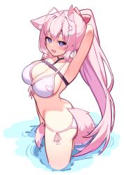 Rule 34 | 1girl, absurdres, animal ear fluff, animal ears, antenna hair, arm behind head, arm up, armpits, ass, bare arms, belt, bikini, black belt, black choker, blush, bow, breasts, chest belt, choker, cleavage, deaver, fang, front-tie bikini top, front-tie top, hair bow, hakui koyori, heart, heart choker, heart print, hexagon hair ornament, highres, holding own tail, hololive, large breasts, long hair, looking at viewer, open mouth, pink bikini, pink hair, pink tail, pink trim, ponytail, purple eyes, red bow, side-tie bikini bottom, simple background, smile, solo, swimsuit, tail, thighs, virtual youtuber, wading, white background, wolf ears, wolf girl, wolf tail