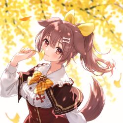 Rule 34 | 1girl, :3, animal ears, blush, bone hair ornament, bow, bowtie, breasts, brown capelet, brown eyes, brown hair, capelet, center frills, closed mouth, dog ears, dog girl, dog tail, fingernails, frilled shirt, frilled shirt collar, frills, ginkgo leaf, hair bow, hair ornament, hairclip, high-waist skirt, highres, holding, holding leaf, hololive, inugami korone, inugami korone (street), leaf, long hair, long sleeves, looking at viewer, medium breasts, nail polish, official alternate costume, official alternate hairstyle, paw ornament, plaid, plaid bow, plaid bowtie, ponytail, red skirt, ria (lya s2), shirt, skirt, smile, solo, tail, taut clothes, taut shirt, upper body, virtual youtuber, white shirt, yellow bow, yellow bowtie, yellow nails