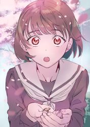Rule 34 | 1girl, :o, absurdres, blush, brown eyes, brown hair, buttons, cherry blossoms, cupping hands, falling petals, highres, holding button, long sleeves, naimaze atakamo, neckerchief, open mouth, original, own hands together, petals, school uniform, second button, serafuku, short hair, solo, tree, wind
