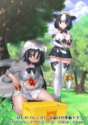 Rule 34 | 2girls, animal ears, animal print, bare shoulders, bell, black eyes, black hair, black mamba (kemono friends), bottle, bow, bowtie, breasts, cleavage, closed mouth, company name, copyright notice, cow ears, cow girl, cow print, cow tail, cowbell, day, elbow gloves, frilled skirt, frills, gloves, grass, grey eyes, hair bow, holding, holstein friesian cattle (kemono friends), hood, hood up, hooded jacket, jacket, kemono friends, kemono friends 3, kneeling, large breasts, long hair, long tail, looking at another, looking at object, medium hair, microskirt, milk bottle, multicolored hair, multiple girls, official art, outdoors, parted lips, print gloves, print shirt, print skirt, print thighhighs, shirt, skirt, sleeveless, sleeveless shirt, smile, snake tail, tail, tail bell, tail bow, tail ornament, tan, thighhighs, tree, two-tone hair, v-shaped eyebrows, very long hair, walking, white hair, yoshida hideyuki, zettai ryouiki