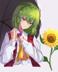 Rule 34 | 1girl, ascot, closed mouth, collared shirt, flower, green hair, hair between eyes, head tilt, highres, holding, holding umbrella, kazami yuuka, long sleeves, nari (bikkii), open clothes, open vest, parasol, red eyes, red vest, shirt, short hair, simple background, sleeve cuffs, smile, solo, sunflower, touhou, umbrella, upper body, vest, wavy hair, white background, white shirt, yellow ascot
