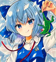 Rule 34 | 1girl, animal, blue bow, blue eyes, blue hair, bow, breasts, cirno, closed mouth, collared shirt, commentary request, frog, hair bow, highres, holding, holding animal, shirt, short sleeves, small breasts, smile, solo, tongue, tongue out, touhou, v-shaped eyebrows, white shirt, yuzugoori