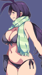 Rule 34 | 1girl, animal ears, bikini, black bikini, black gloves, blue background, breasts, cleavage, cowboy shot, duke (inu daimyou), enpera, fake animal ears, gloves, green eyes, green scarf, large breasts, long hair, looking away, love live!, love live! school idol project, low twintails, navel, purple hair, rabbit ears, scarf, side-tie bikini bottom, simple background, smile, solo, stomach, striped clothes, striped scarf, swimsuit, tojo nozomi, twintails
