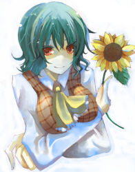 Rule 34 | 1girl, ascot, breast hold, breasts, crossed arms, female focus, flower, green hair, holding, holding flower, kazami yuuka, large breasts, plaid, plaid vest, red eyes, short hair, solo, sunflower, suzumura tomo, touhou, upper body, vest, white background