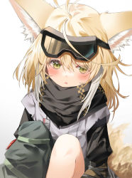 Rule 34 | 1girl, absurdres, animal ear fluff, animal ears, arknights, asymmetrical pants, black scarf, blonde hair, blush, commentary, cowboy shot, fox ears, fox girl, goggles, goggles on head, green eyes, green pants, grey tunic, highres, knees up, long sleeves, looking to the side, multicolored hair, open mouth, pants, parted lips, scarf, short hair, simple background, single bare leg, solo, sutei (arece15), suzuran (arknights), suzuran (lostlands flowering) (arknights), tunic, two-tone hair, white background, white hair