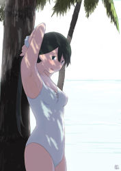 Rule 34 | 1girl, armpits, beach, black hair, blue eyes, bow, breasts, coconut tree, commentary request, dappled sunlight, from side, hair between eyes, hair tie, head tilt, houshou (kancolle), kantai collection, light blush, long hair, looking at viewer, mihama machi, ocean, one-piece swimsuit, palm tree, shadow, small breasts, smile, solo, sunlight, swimsuit, tree, tree shade, tying hair, white bow, white one-piece swimsuit