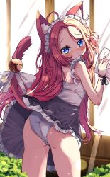 Rule 34 | 1girl, animal ear fluff, animal ears, bell, black dress, blue archive, blue eyes, blush, cat ears, cat girl, cat tail, closed mouth, commentary, cowboy shot, dress, forehead, frilled dress, frills, from behind, fujiwarahatsune, furrowed brow, highres, jingle bell, kemonomimi mode, long hair, looking back, maid, maid headdress, panties, red hair, ribbon, solo, tail, tail ornament, tail ribbon, underwear, white panties, white ribbon, yuzu (blue archive)