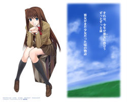 1girl aozaki_aoko blue_eyes bow brown_hair cloud day female_focus grass legs long_hair mahou_tsukai_no_yoru school_uniform shirotsumekusa sitting skirt sky smile socks solo suitcase text_focus