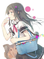 Rule 34 | 1girl, absurdres, bag, black eyes, black hair, black skirt, collared shirt, dog, eating, evers, female focus, floating hair, flower, from side, gelatin, hair ornament, hairpin, highres, holding, long hair, looking away, neckerchief, original, paper, pleated skirt, profile, ribbon, school bag, school uniform, shirt, short sleeves, simple background, skirt, sleeves rolled up, solo, thermos, walking, white background, white shirt